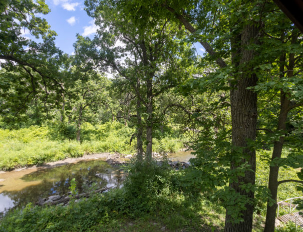 View of Cobb Creek from the cabin