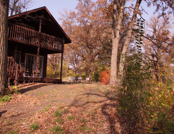 Brookside Cabin in autumn