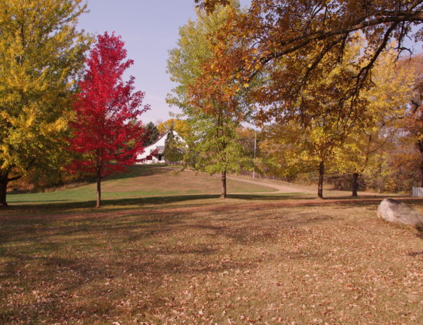 Fall colors across the grounds
