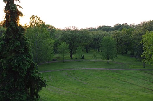 Green rolling grounds with oak trees